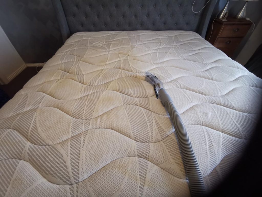 Gallery Elite Carpet Care